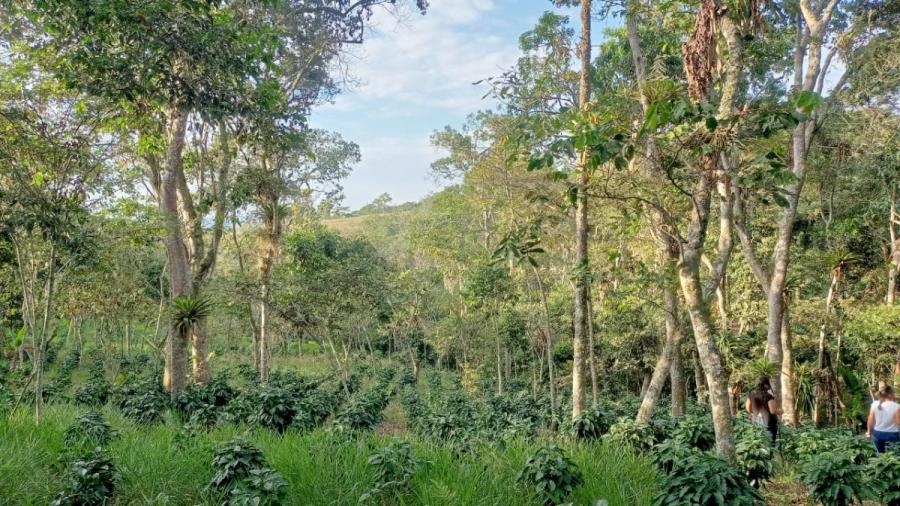 Foto Lote en Venta en San Gil, Santander - 1 hectareas - $ 94.999.998 - LOV204089 - BienesOnLine