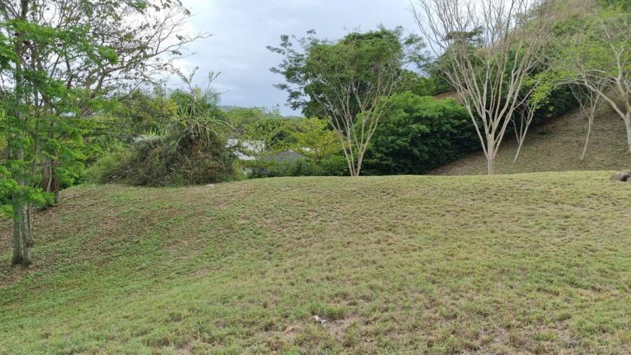 LOTE EN VENTA EN SANTA FE DE ANTIOQUIA $350.000.000