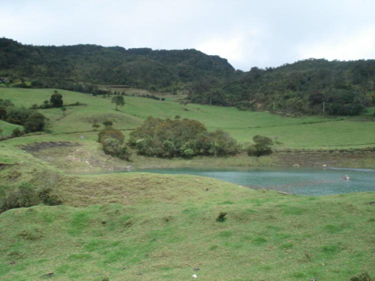 LOTE EN VENTA LA CALERA, VEREDA EL SALITRE - LOV151389
