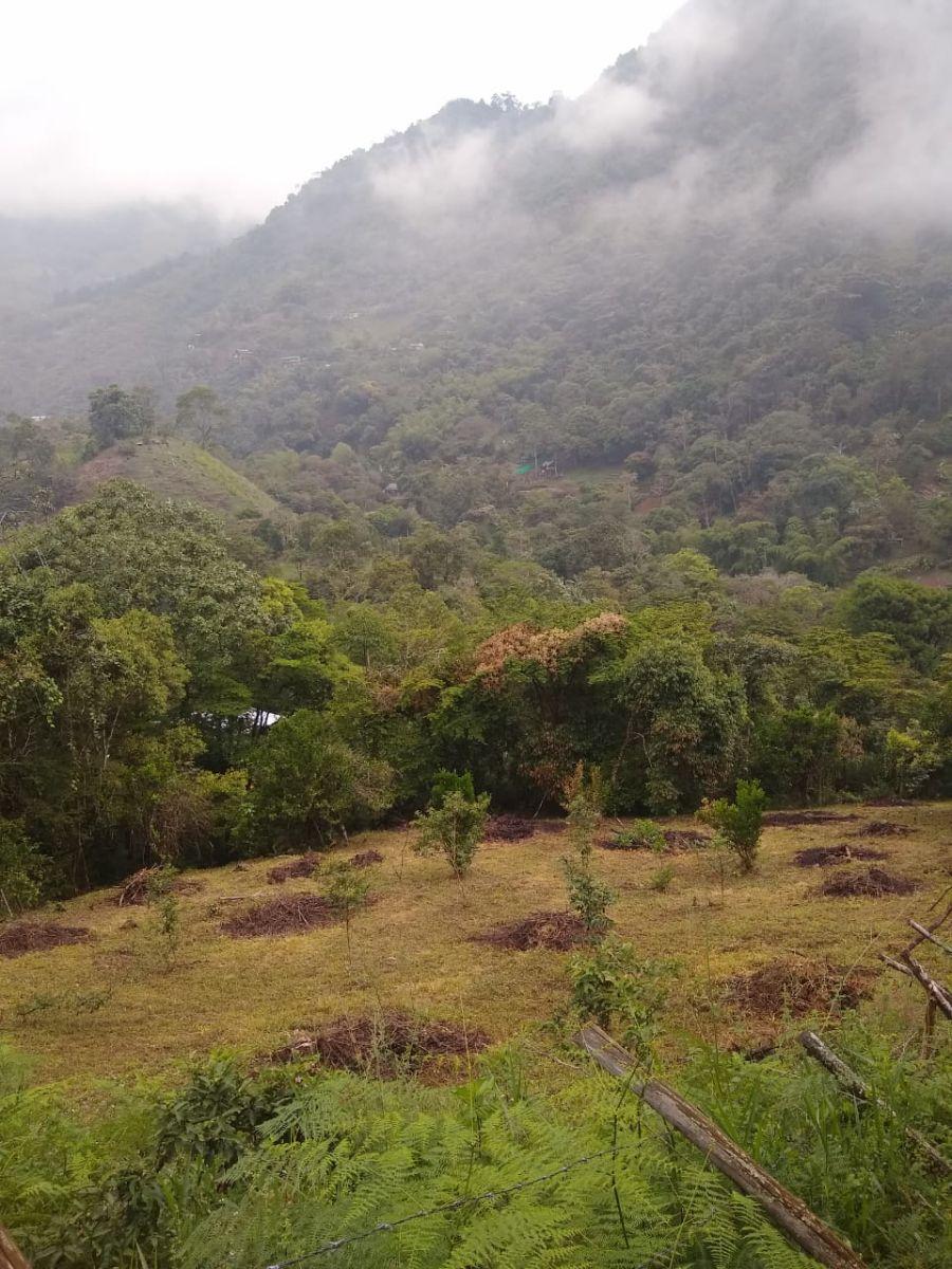 Foto Lote en Venta en pance, Valle del Cauca - $ 250.000.000 - LOV176829 - BienesOnLine