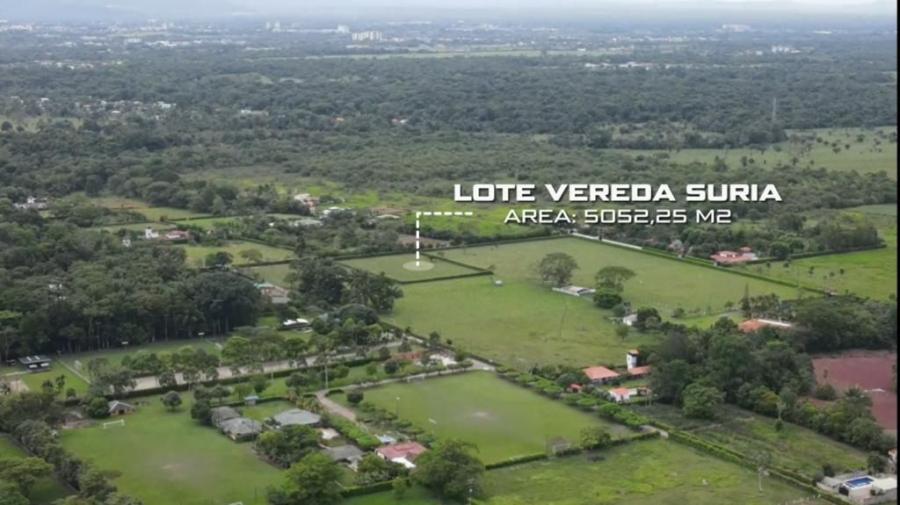 Foto Lote en Venta en Vereda Suria, Villavicencio, Meta - $ 800.000.000 - LOV197744 - BienesOnLine
