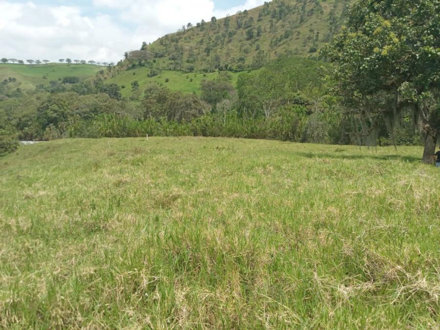 Foto Lote en Venta en via a la magdalena, Buga, Valle del Cauca - $ 300.000.000 - LOV197906 - BienesOnLine