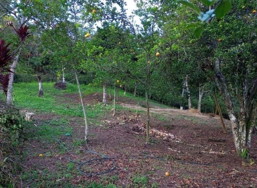 Foto Lote en Venta en Vereda CAY, Ibagué, Tolima - $ 150.000.000 - LOV208656 - BienesOnLine