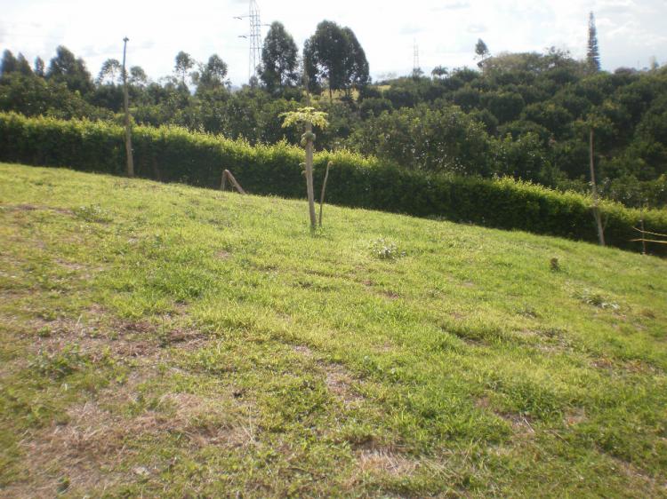 Foto Lote en Venta en Pereira, Risaralda - $ 260.000.000 - LOV101742 - BienesOnLine