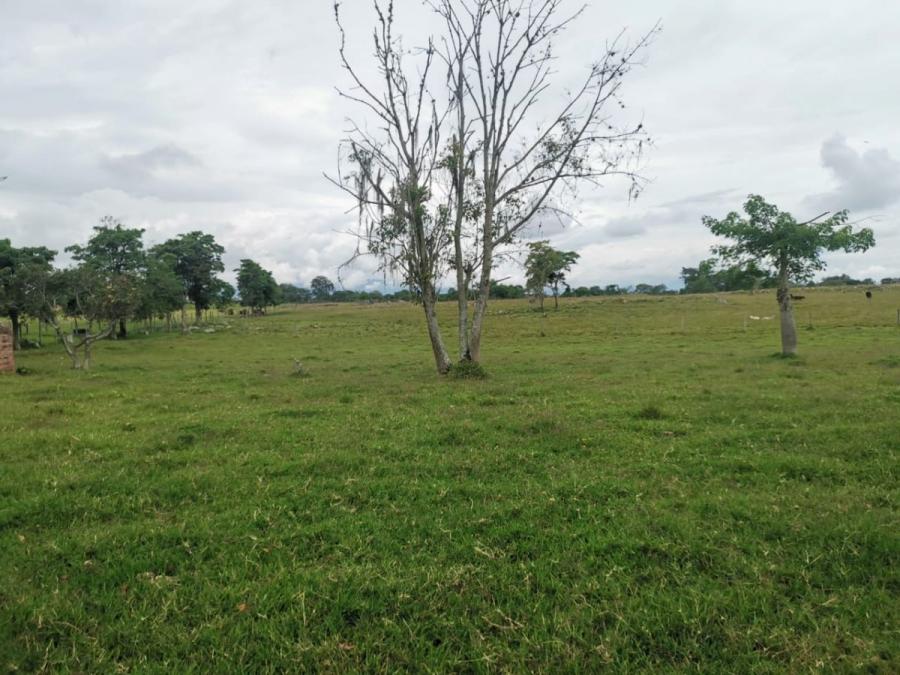 Foto Lote en Venta en fusagasuga, FUSAGASUGA  CUNDINAMARCA COLOMBIA, Cundinamarca - LOV203349 - BienesOnLine