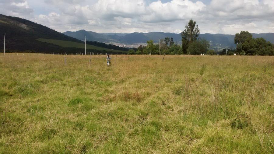 Lote rural, area: 18643 m2, vereda el tunal, Zipaquira - Cundinamarca. 