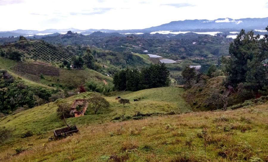 Foto Lote en Venta en Vereda La Chapa, El Peñol, Antioquia - 5 hectareas - $ 990.000.000 - LOV202901 - BienesOnLine