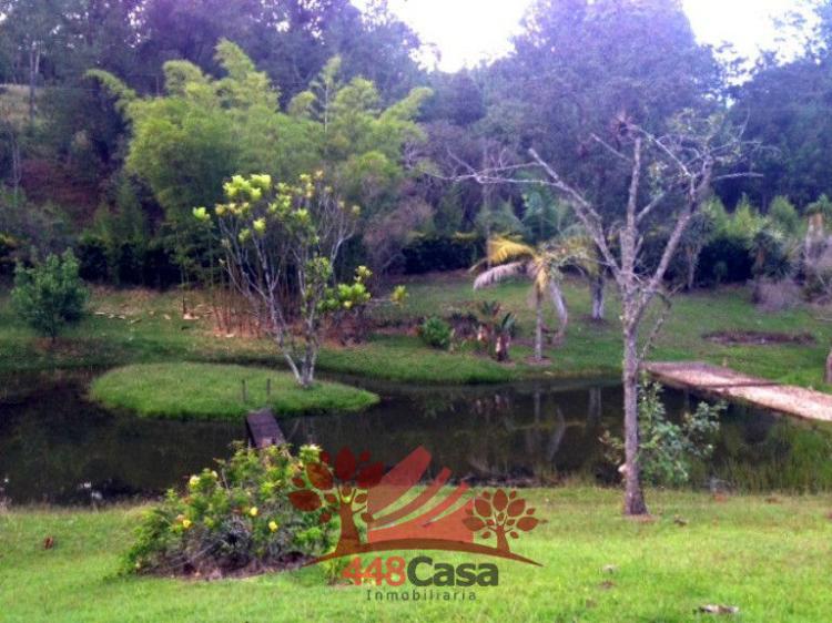 LOTE, Vereda El Tablazo, Rionegro, Antioquia 