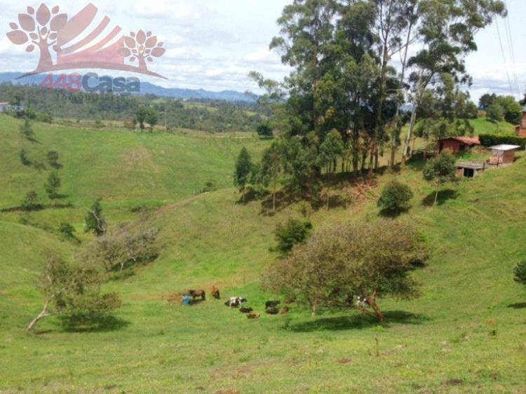 Foto Finca en Venta en Rionegro, Antioquia - $ 1.200.000.000 - FIV69789 - BienesOnLine