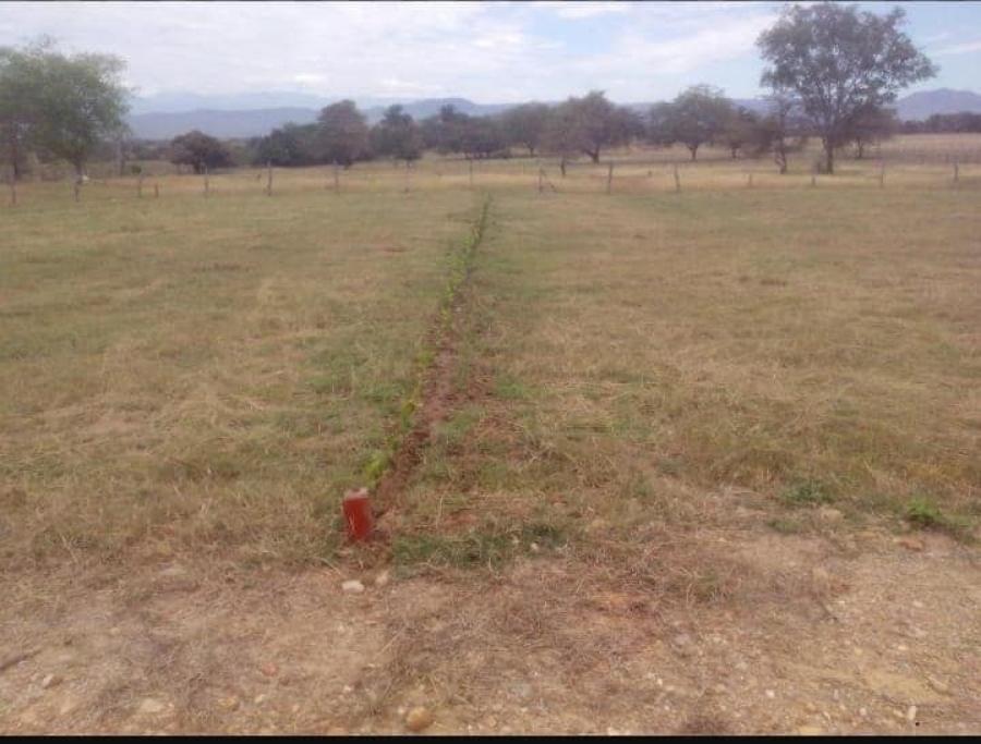 Foto Lote en Venta en KILÓMETRO SIETE DE LA VÍA RICAURTE - AGUA DE DIOS, Girardot, Cundinamarca - 10 hectareas - $ 168.000.000 - LOV160078 - BienesOnLine