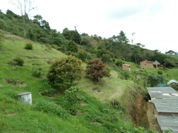 Foto Finca en Venta en La Charanga, Guarne, Antioquia - $ 250.000.000 - FIV70273 - BienesOnLine