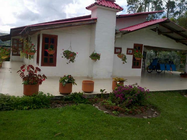 Foto Finca en Venta en Darién, Valle del Cauca - $ 680.000.000 - FIV83144 - BienesOnLine