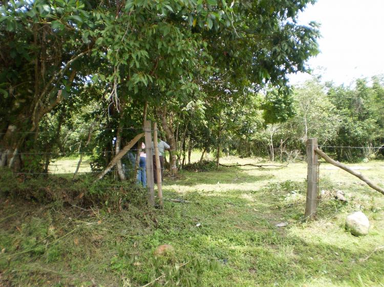 Foto Lote en Venta en Tauramena, Tauramena, Casanare - $ 100.000.000 - LOV10995 - BienesOnLine