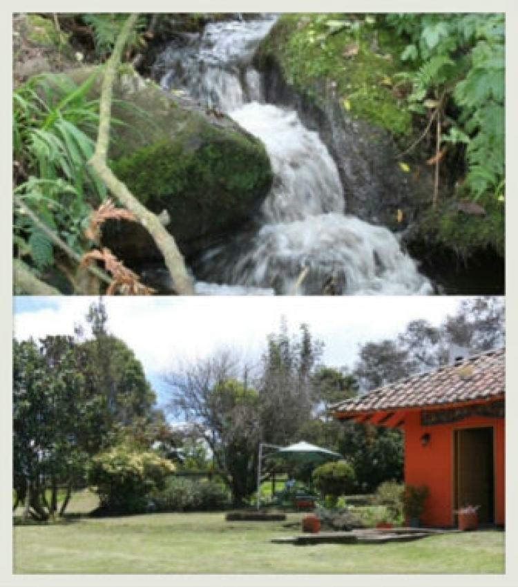 Foto Finca en Venta en subachoque, Tocaima, Cundinamarca - $ 200 - FIV84500 - BienesOnLine