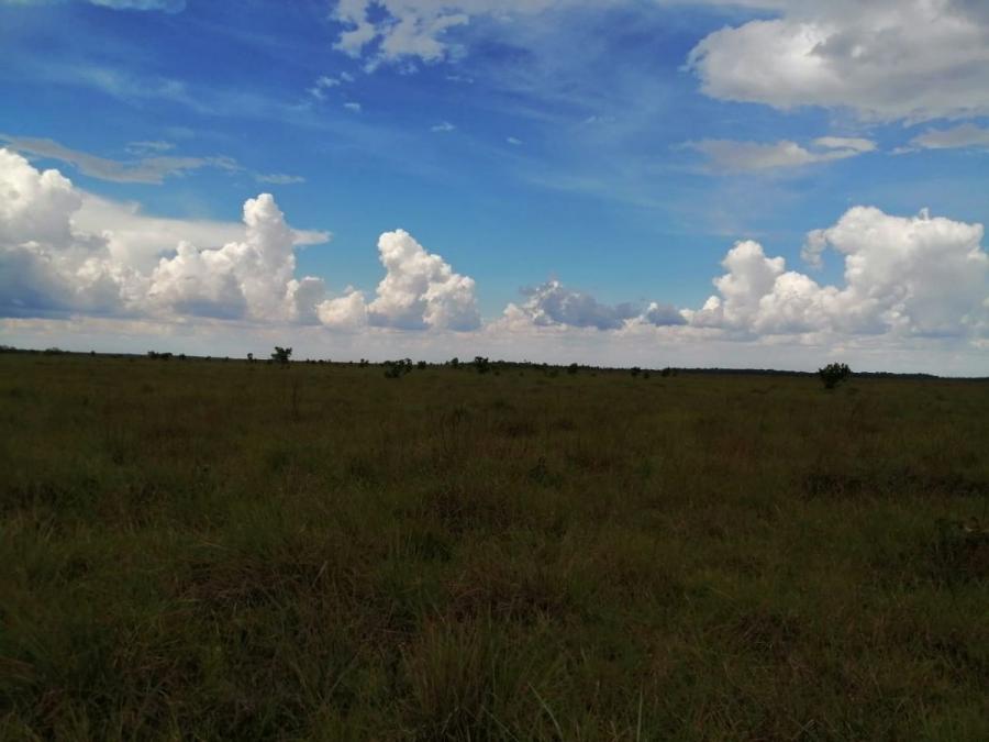 Foto Finca en Venta en Vereda  Matiyure, Vichada - 1300 hectareas - $ 2.600.000.000 - FIV194147 - BienesOnLine