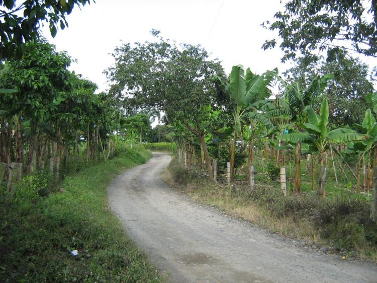 Home in Metric Way