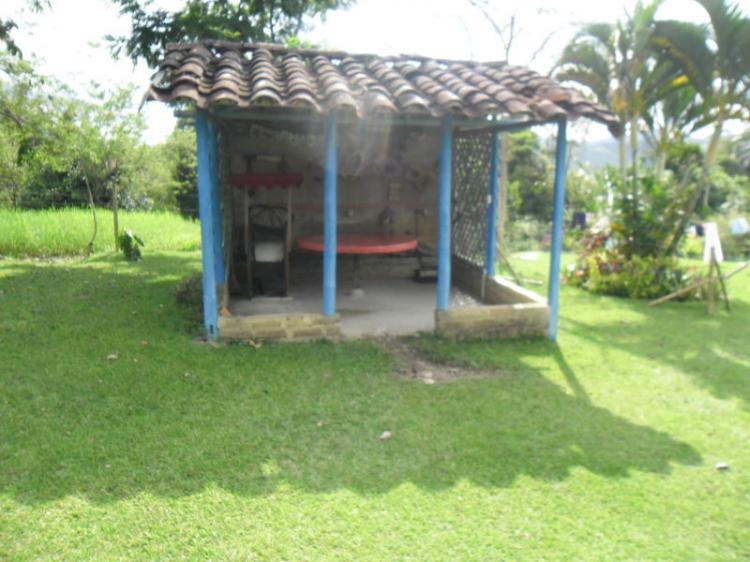 Foto Finca en Venta en Quimbaya, Quindío - 19 hectareas - $ 1.290.000.000 - FIV65161 - BienesOnLine