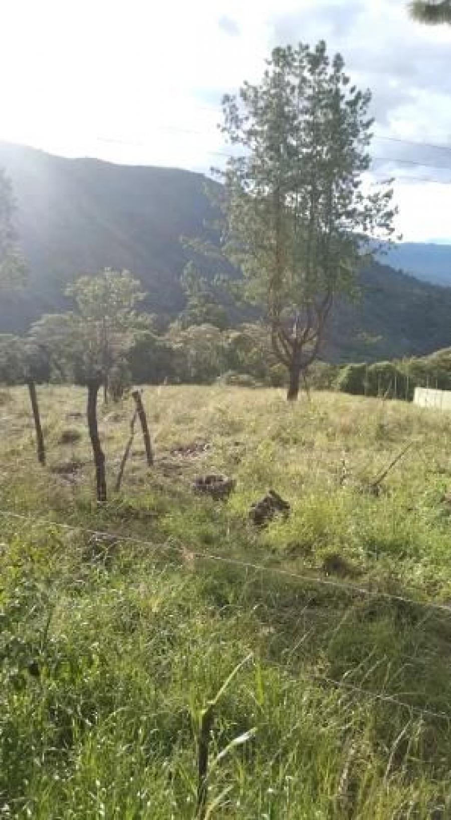 Foto Lote en Venta en La Loma, Buesaco, Nariño - $ 50.000.000 - LOV201183 - BienesOnLine