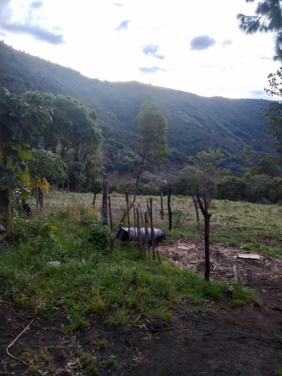 Foto Lote en Venta en Santa Rosa de Cabal, Risaralda - $ 20.000.000 - LOV200384 - BienesOnLine