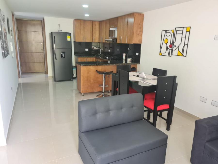 RENTA DE APARTAMENTOS AMOBLADOS