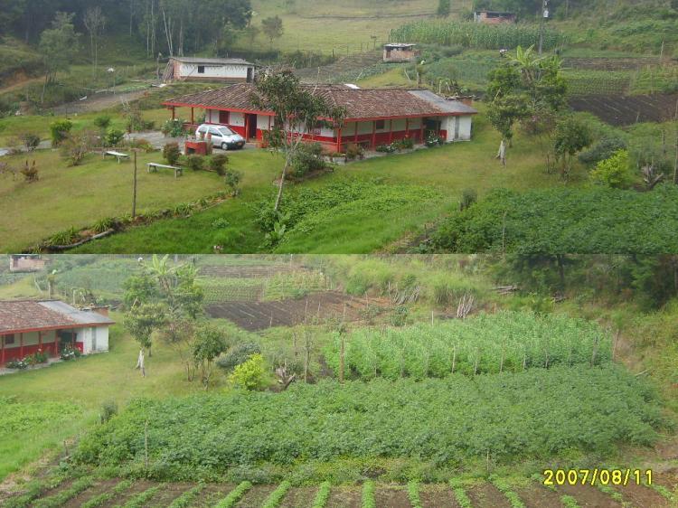 Foto Finca en Venta en Piedras Blancas, Guarne, Antioquia - 26 hectareas - $ 700.000.000 - FIV6073 - BienesOnLine