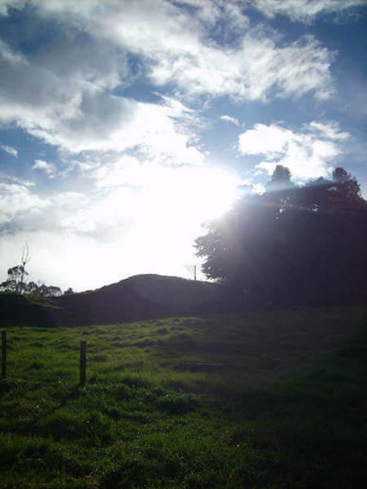 Foto Finca en Venta en San José de la Montaña, Antioquia - 120 hectareas - U$D 1.440.000.000 - FIV22446 - BienesOnLine