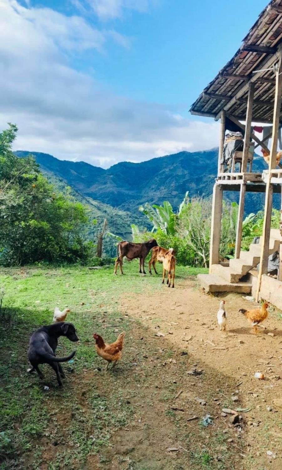 Foto Finca en Venta en La quiebra, La quiebra, Valle del Cauca - $ 750.000.000 - FIV199327 - BienesOnLine