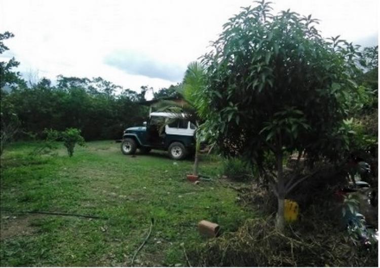 SE VENDE FINCA DE PRODUCCION  EN LA VEGA 