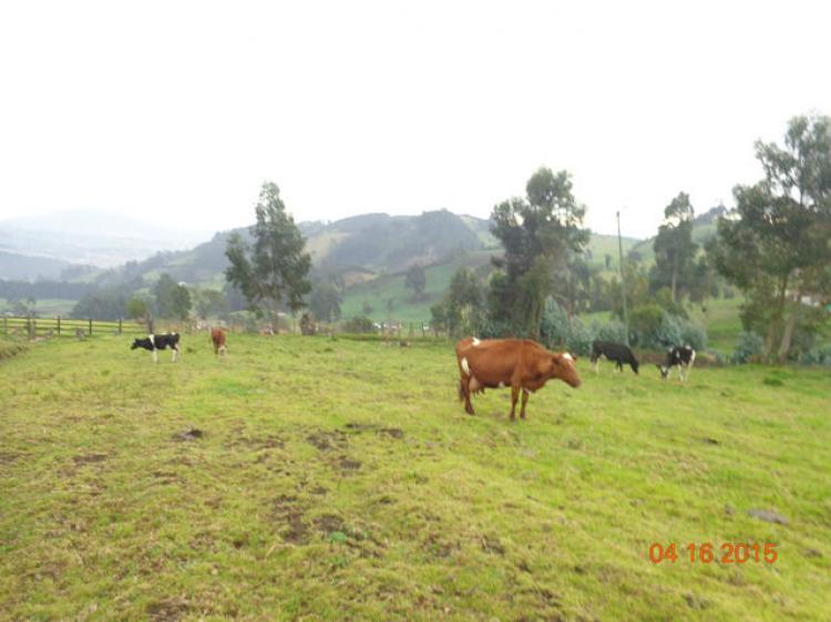 Foto Lote en Venta en San Jorge, Zipaquirá, Cundinamarca - $ 230.000.000 - LOV84437 - BienesOnLine