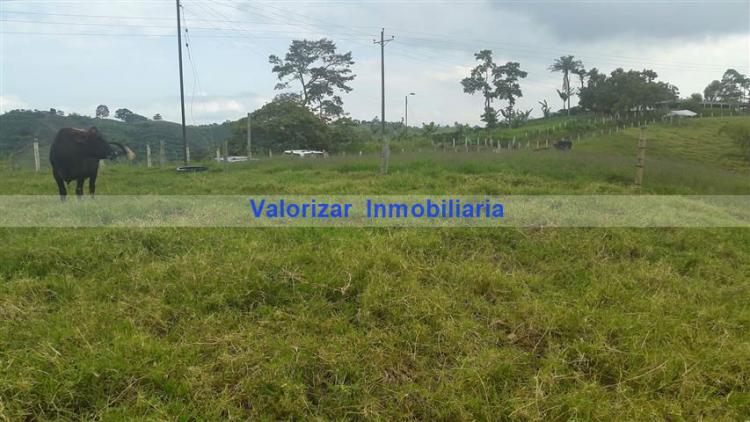 Foto Lote en Venta en Pereira, Risaralda - $ 194.000.000 - LOV90951 - BienesOnLine