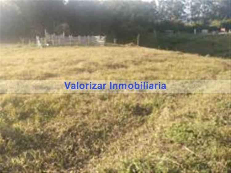 Foto Lote en Venta en Pereira, Risaralda - $ 107.000.000 - LOV88700 - BienesOnLine