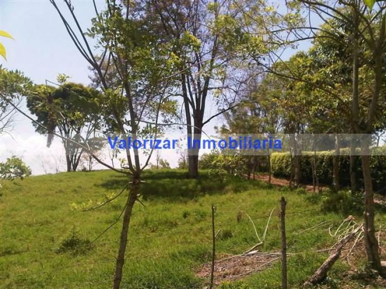 Foto Lote en Venta en Pereira, Risaralda - $ 260.000.000 - LOV91099 - BienesOnLine