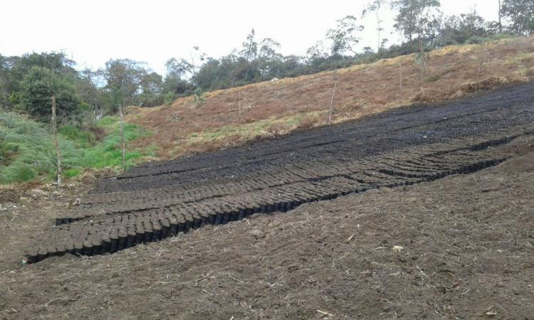 SE VENDE LOTE PAVAS BAJO EN PALMAS DEL SOCORRO