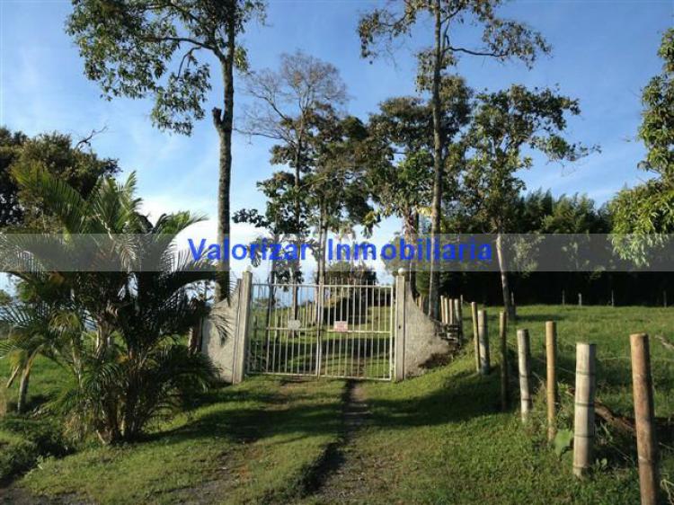 Foto Lote en Venta en Pereira, Risaralda - $ 130.000.000 - LOV91097 - BienesOnLine