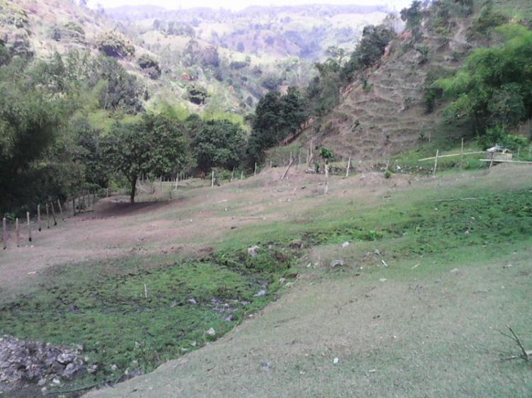 Foto Finca en Venta en El Cerrito, Valle del Cauca - FIV70718 - BienesOnLine