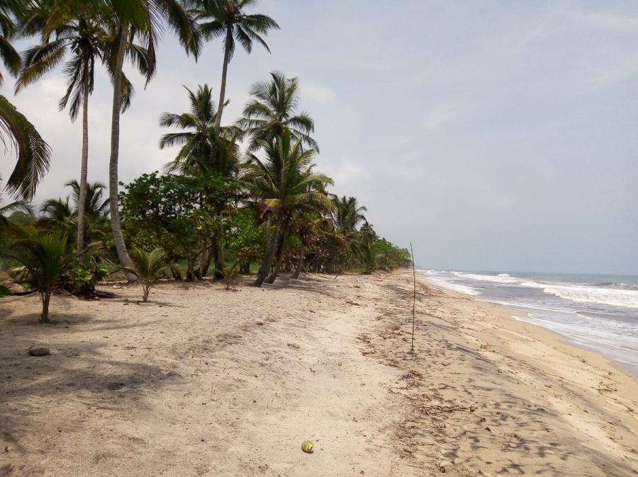 Venta de Lotes en La Playa de Palomino, La Guajira