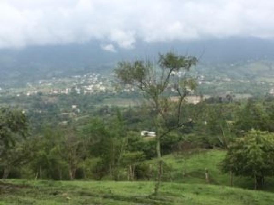 Foto Finca en Venta en Vereda Bosachoque, Fusagasugá, Cundinamarca - $ 995.000.000 - FIV88159 - BienesOnLine