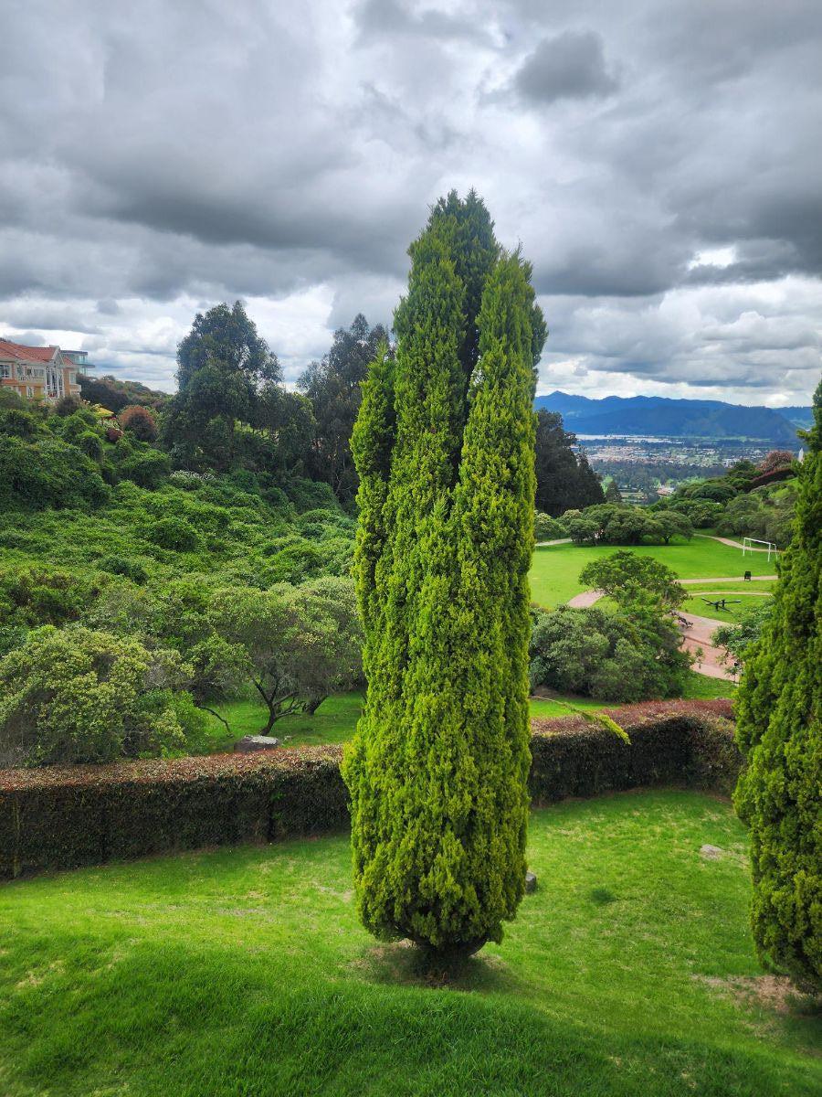 Foto Casa en Arriendo en sindamanoy, sindamanoy, Cundinamarca - $ 9.799.999 - CAA211144 - BienesOnLine