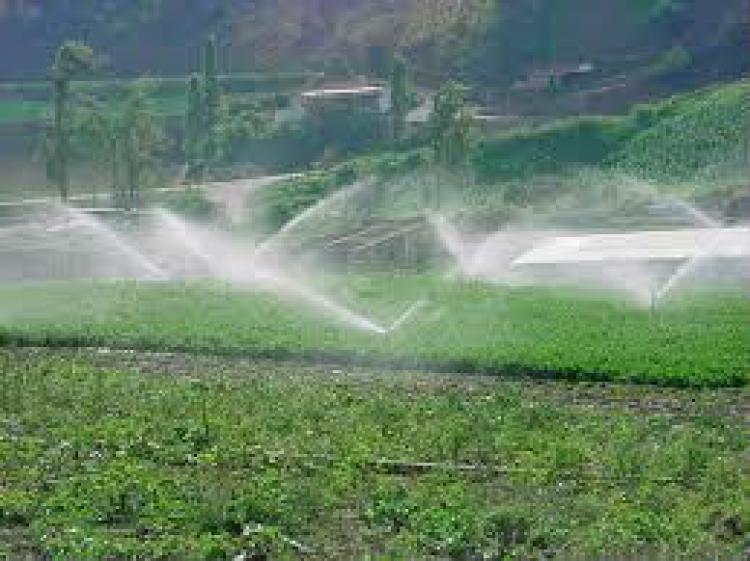 subachoque cundinamarca finca de menos de 5 fanegadas