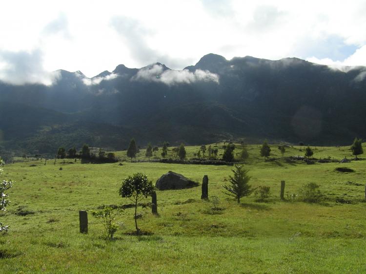Foto Finca en Venta en Supata vereda Monte Dulce, , Cundinamarca - $ 7.000.000 - FIV4920 - BienesOnLine