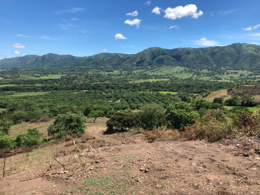 Foto Lote en Venta en Él chimbila, Tocaima, Cundinamarca - 14 hectareas - $ 800.000.000 - LOV179831 - BienesOnLine