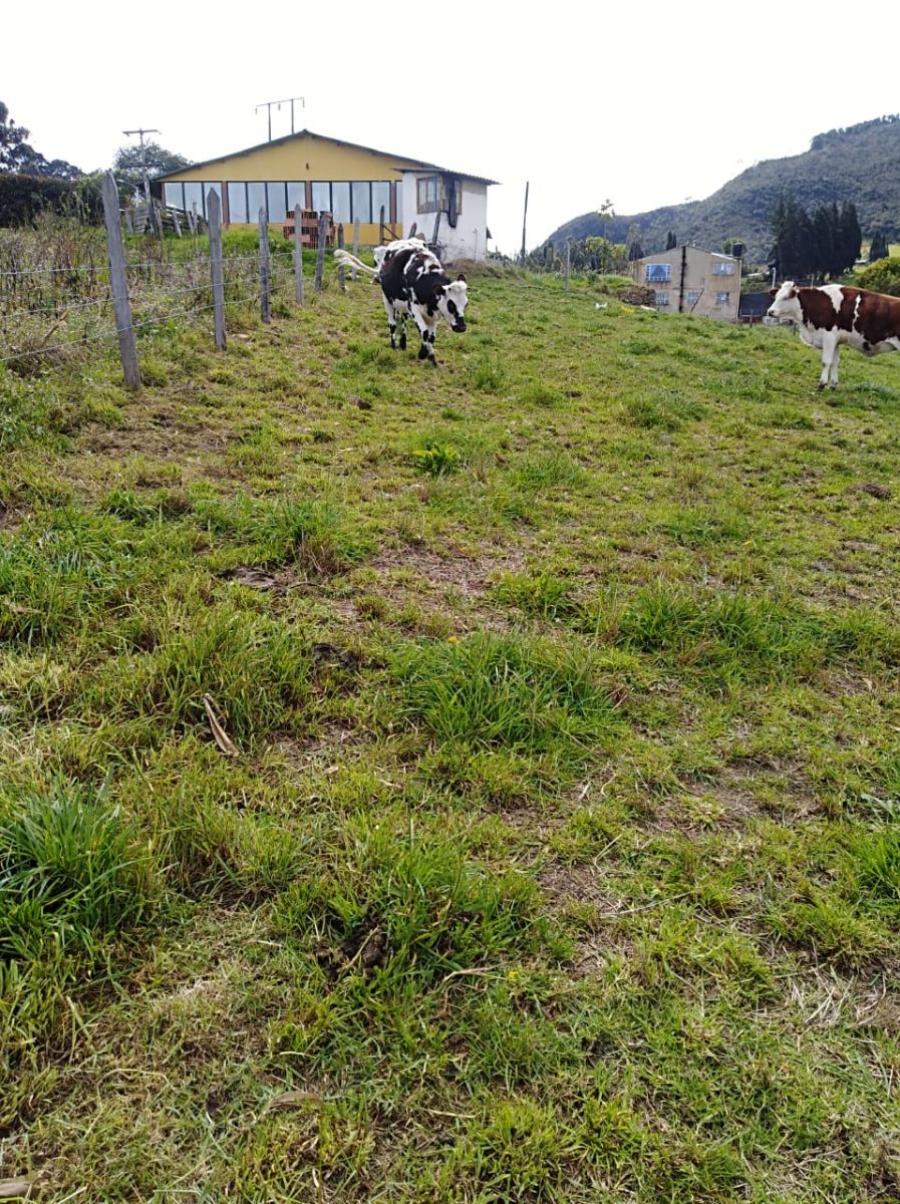 TERRENO EN VENTA ZIPAQUIRA CUNDINAMARCA