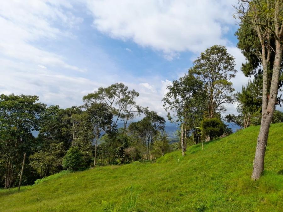 Foto Finca en Venta en Arbelaez, Cundinamarca - $ 250.000.000 - FIV208381 - BienesOnLine