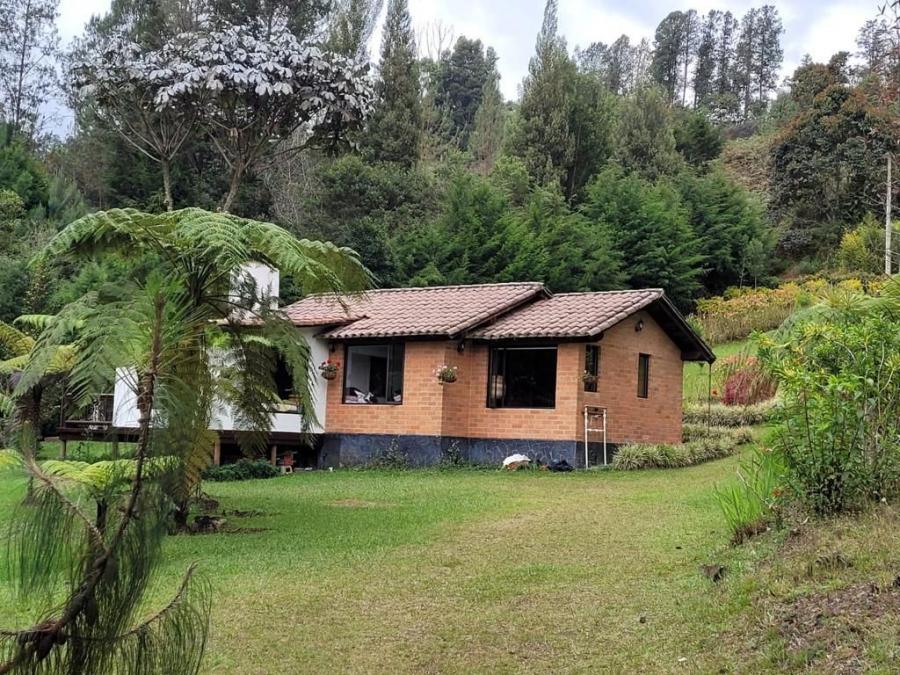 Foto Casa en Venta en La Ceja, Antioquia - $ 1.550.000.000 - CAV212000 - BienesOnLine