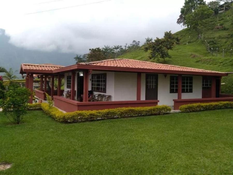 Foto Finca en Venta en Cocorná, Antioquia - $ 310.000.000 - FIV176177 - BienesOnLine