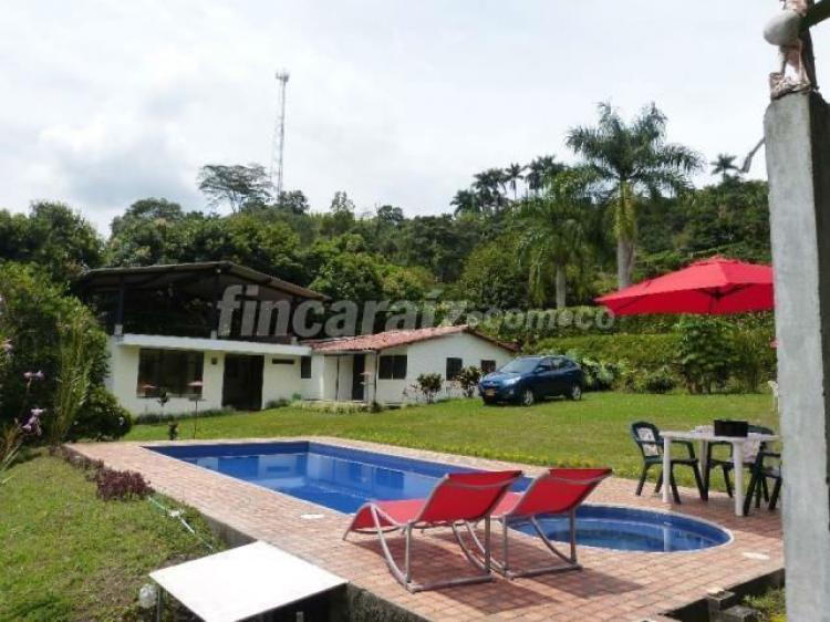 Foto Finca en Venta en PALESTINA, Manizales, Caldas - $ 250.000.000 - FIV89120 - BienesOnLine