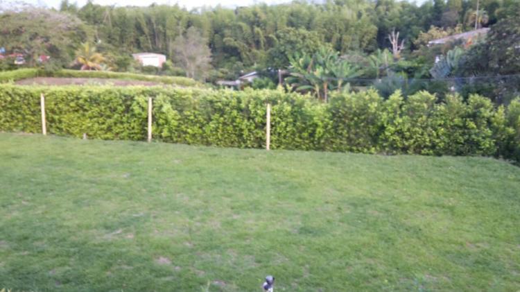 Foto Finca en Venta en SANTAGUEDA, Manizales, Caldas - $ 390.000.000 - FIV94675 - BienesOnLine