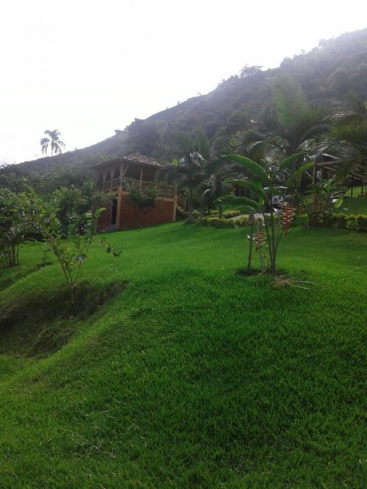 Foto Finca en Venta en EL GUINEO, Manizales, Caldas - $ 290.000.000 - FIV90980 - BienesOnLine