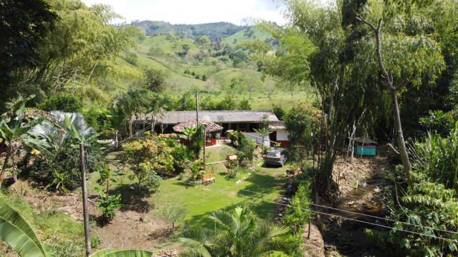 Finca en Venta en La honda, La honda, Risaralda 280.000.000