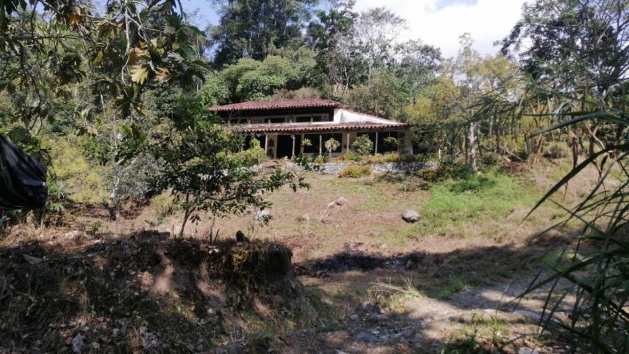 Foto Finca en Venta en BOQUERON, BOQUERON, Tolima - $ 950.000.000 - FIV201213 - BienesOnLine